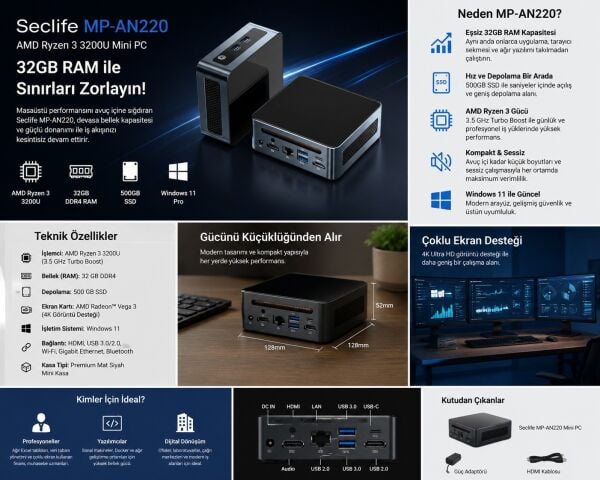 Seclife MP-AN220 Ryzen3 3200U 32GB 500GB SSD Win11 Siyah Mini Pc