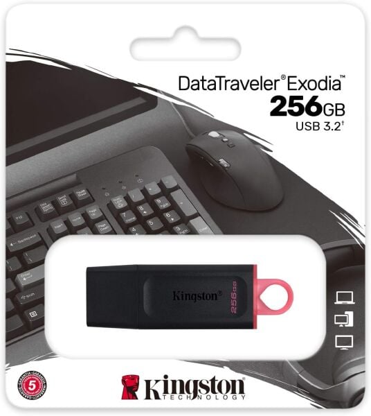 256GB Kingston DTX/256GB USB 3.2 Gen 1 D.Trav.Exodia (Black+Pink) Flash Bellek