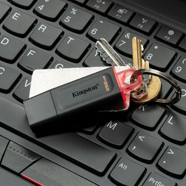 256GB Kingston DTX/256GB USB 3.2 Gen 1 D.Trav.Exodia (Black+Pink) Flash Bellek