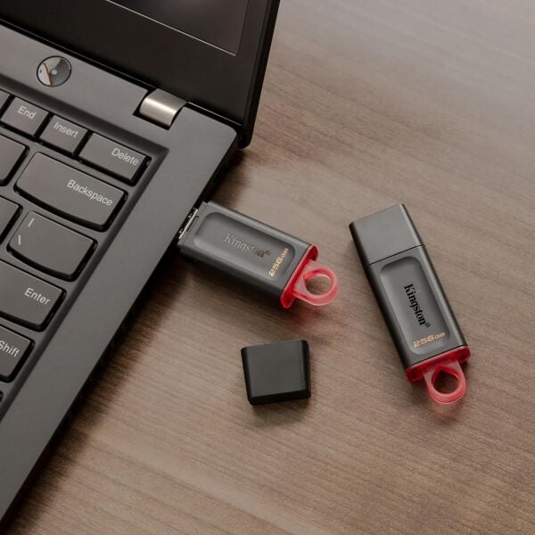 256GB Kingston DTX/256GB USB 3.2 Gen 1 D.Trav.Exodia (Black+Pink) Flash Bellek