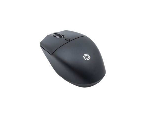 Frisby FM-284WM Kablosuz Mouse Siyah