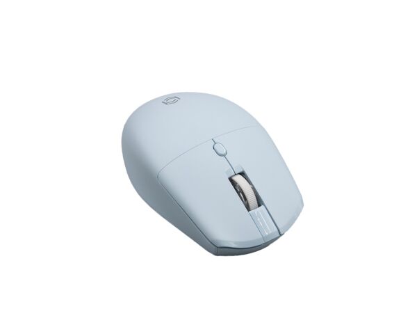 Frisby FM-288WM Kablosuz Mouse Mavi